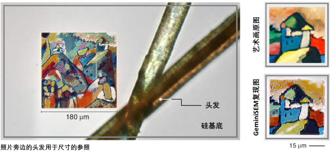 平凉蔡司平凉扫描电镜